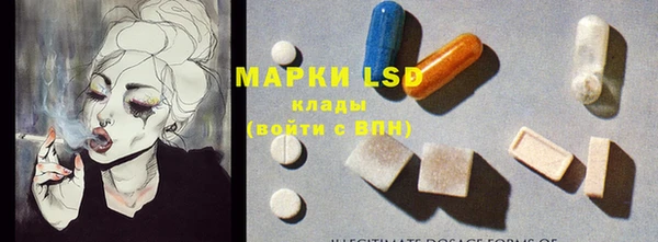 ПСИЛОЦИБИНОВЫЕ ГРИБЫ Кодинск