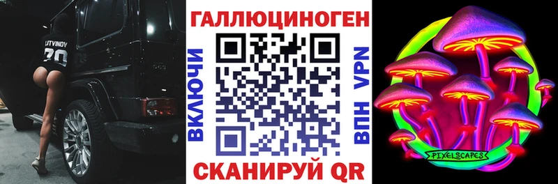 Псилоцибиновые грибы Cubensis  Кирс 